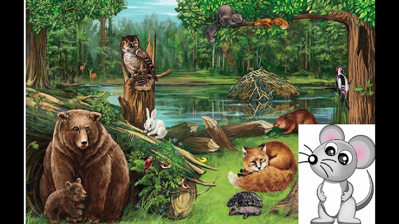 Сказка о невоспитанном мышонке прокофьева с картинками