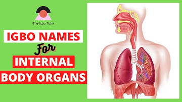 Learn Igbo Names For INTERNAL BODY ORGANS - With Pictures.