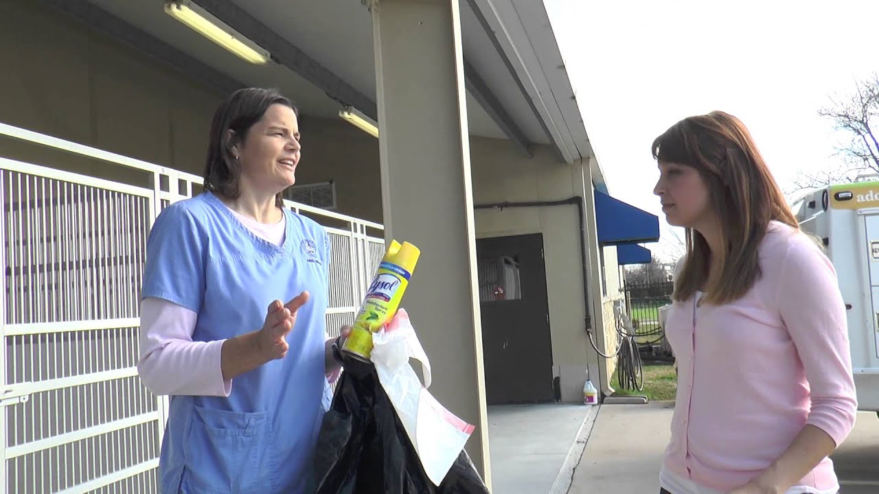 Tackling Tough Jobs with Priscilla Monroe - Animal Services