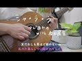 #12 シャ・ラ・ラ | サザン つじあやの 奥田民生 | 弾き語りcover
