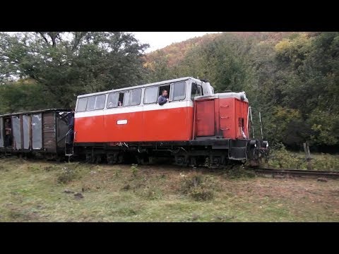 Жизнь в "Матрице": Апшеронская узкоколейка | НЕИЗВЕСТНАЯ РОССИЯ