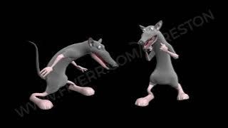 Dancing mouse. 3D realistic professional animation.