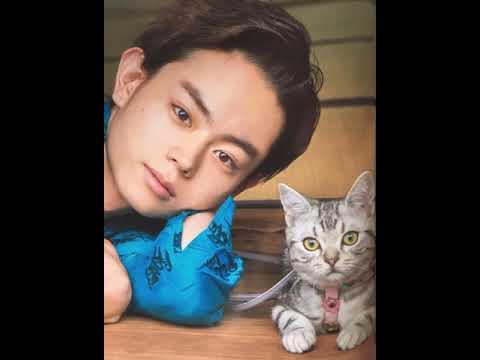 『猫』を歌う菅田将暉