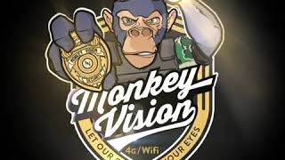 Monkey Vision Logo Animation