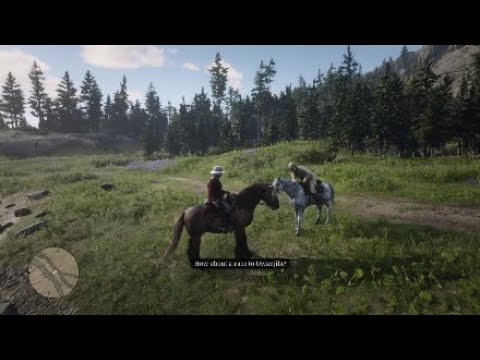 Red Dead Redemption 2 Brown Jack Vs Nokota - YouTube