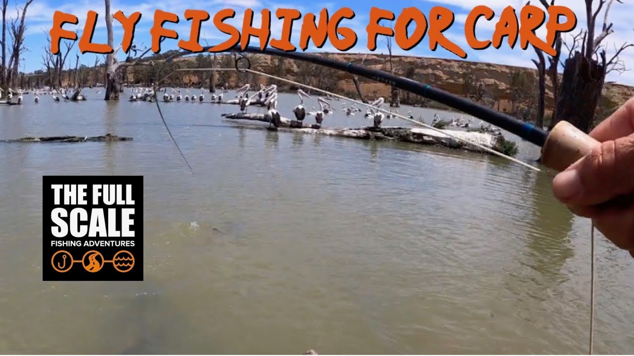 Fly Fishing For Carp Kayak Fishing The Full Scale YouTube