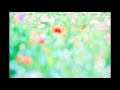 Nijiniji 嵐 NA NA NA 女子が歌ってみた 音質向上ver Nijiniji 嵐 NA NA NA 女子が歌ってみた 音質向上ver