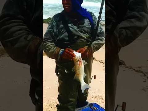ابلاغ لابلاج كاب بارباص صيد الأسماك رحلات السفر الصيد بالقصبة Fishing Fish اكتشف الطبيعة 