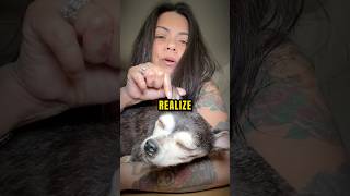 Her Dog Isnt What It Seems