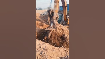 Excavators dig tree roots process, good machinery makes the job easy