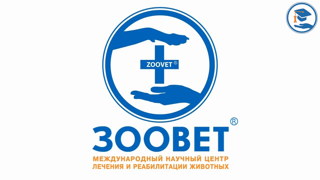 С.В. Коняев - Протозоозы МДЖ. Трихомоноз. Иксодовые Клещи и паразиты. Инсектоакарициды. Часть 2/4
