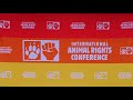ART AS ACTIVISM FOR SOCIAL AND POLITICAL CHANGE - A talk by Helen Barker and Philip McCulloch-Downs