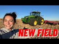A new field to farm