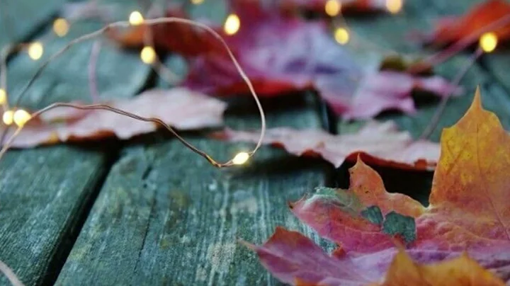 “Showstoppers” Performance Ensemble: VPA Day Fall 2025