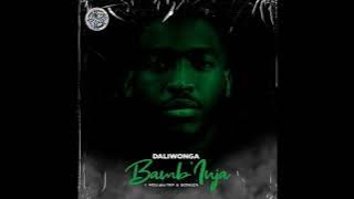 Daliwonga ~ Bambinja feat, MDU aka TRP & Bongza #Amapiano