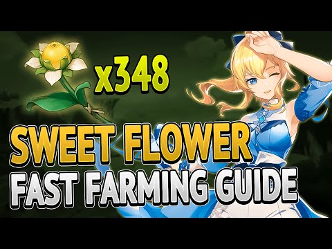 Sweet Flower 348 Locations FAST FARMING ROUTE | Genshin Impact 2.5