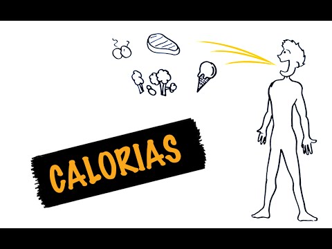 Vídeo: As calorias engordam?