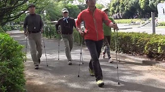 ポールウォーキング Youtube