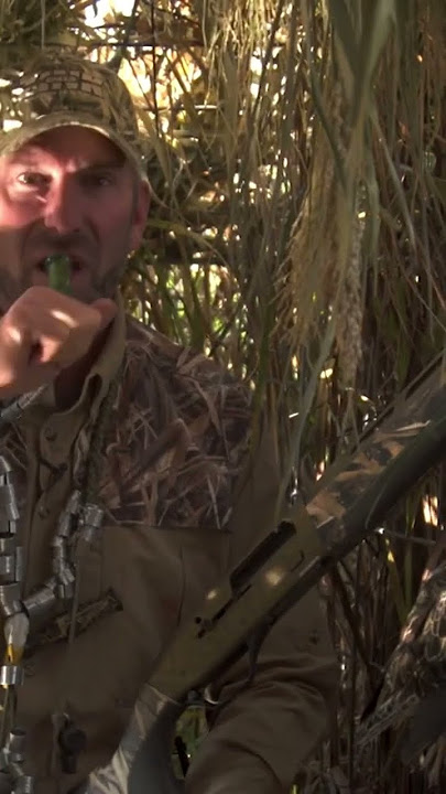 Mastering Teal Calling