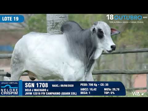 LOTE 19 SGN 1708