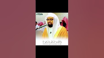 تلاوه تفوق الخيال روائع القطامي #قران_كريم #صوت_جميل #القطامي