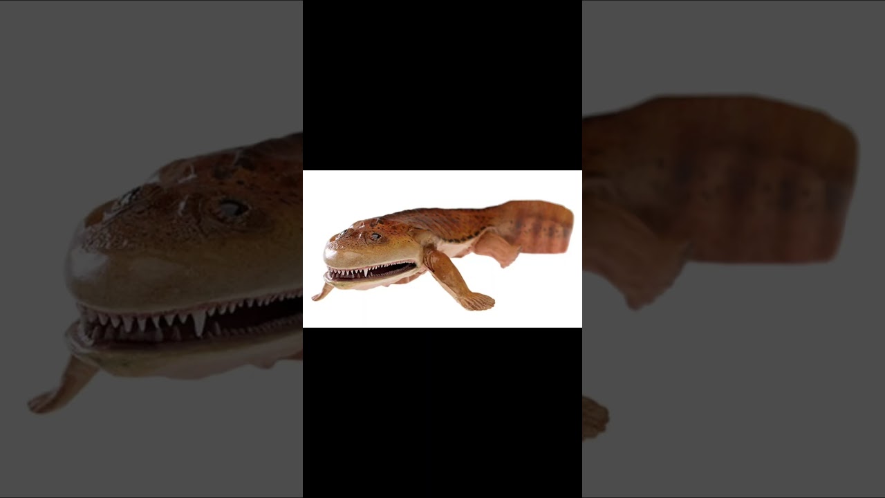 Существо дня: Акантостега 