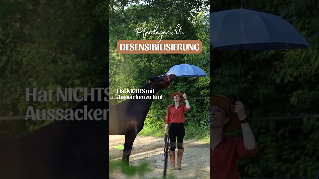 Pferdegerechte Desensibilisierung, Schrecktraining