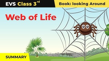Web of Life - Summary | Class 3 EVS NCERT Chapter 24 | CBSE 2024-25