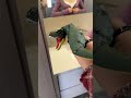 #Toys #Funny #Pranks #Couples #DailySharing #MarriedLife #Girlfriend #Love #Sweet