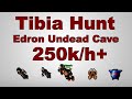 Tibia Hunt: Lvl 50 RP Edron Undead Cave 250k/h Exp