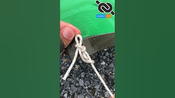 💯 Best Tarp Corner Knot Technique #knotshort