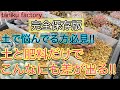 【トレー実験】【肥料について】百聞は一見に如かず