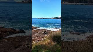 🇪🇸 🌊 Islas de Toralla y Cíes (Vigo) #Senderismo #Galicia #España #Shorts
