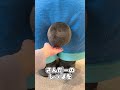 誰にも言ってないヒミツ教えます。