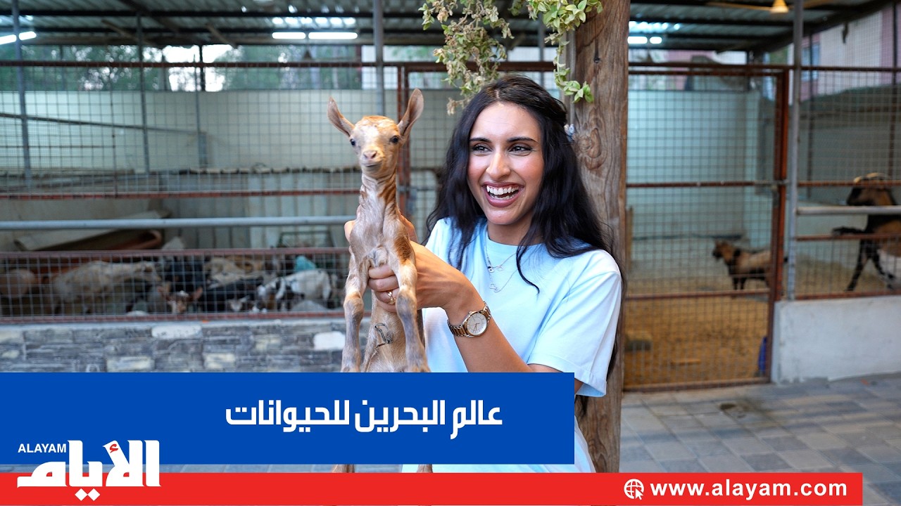 �� ������ �������.. ��� ���� ���� ������� ���������
 - نشر قبل 19 دقيقة