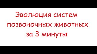 ЭВОЛЮЦИЯ СИСТЕМ ПОЗВОНОЧНЫХ ЖИВОТНЫХ | БИОЛОГИЯ