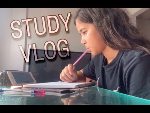 STUDY VLOG