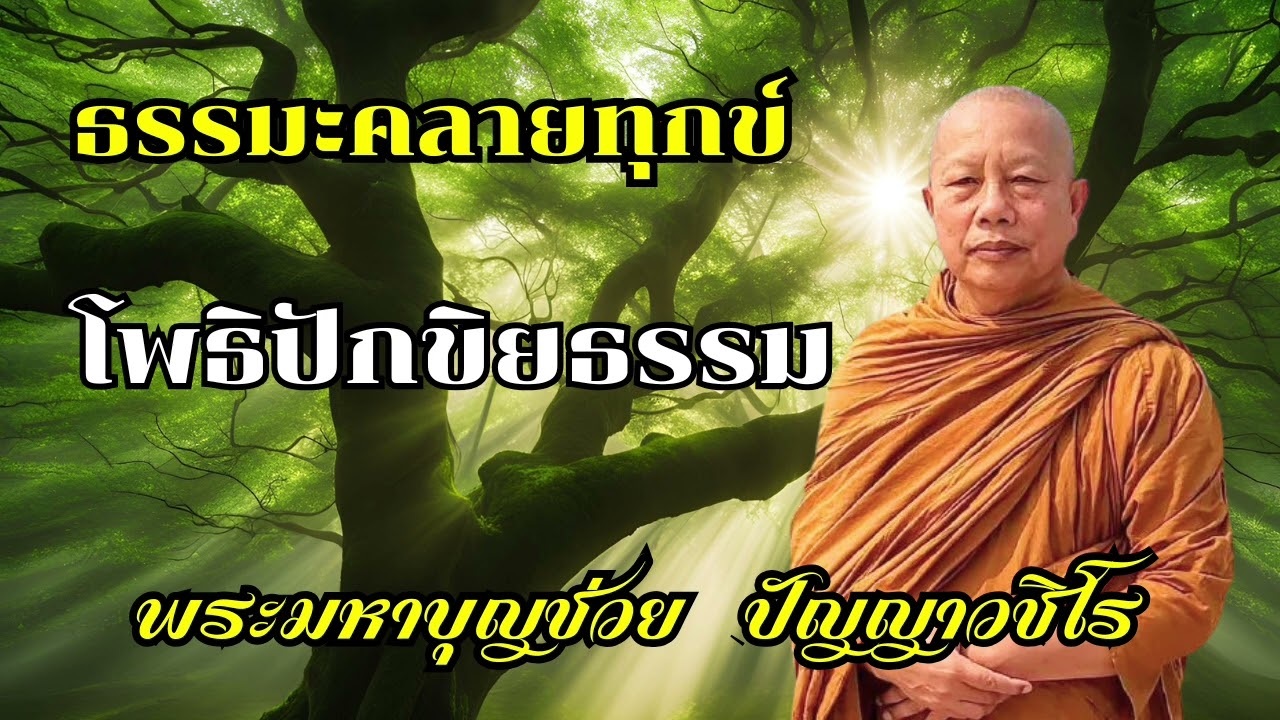 โพธิปักขิยธรรม | ฟังธรรมะ | ธรรมะสอนใจ | ธรรมะคลายทุกข์ | ฟังธรรมะก่อนนอน | พระมหาบุญช่วย