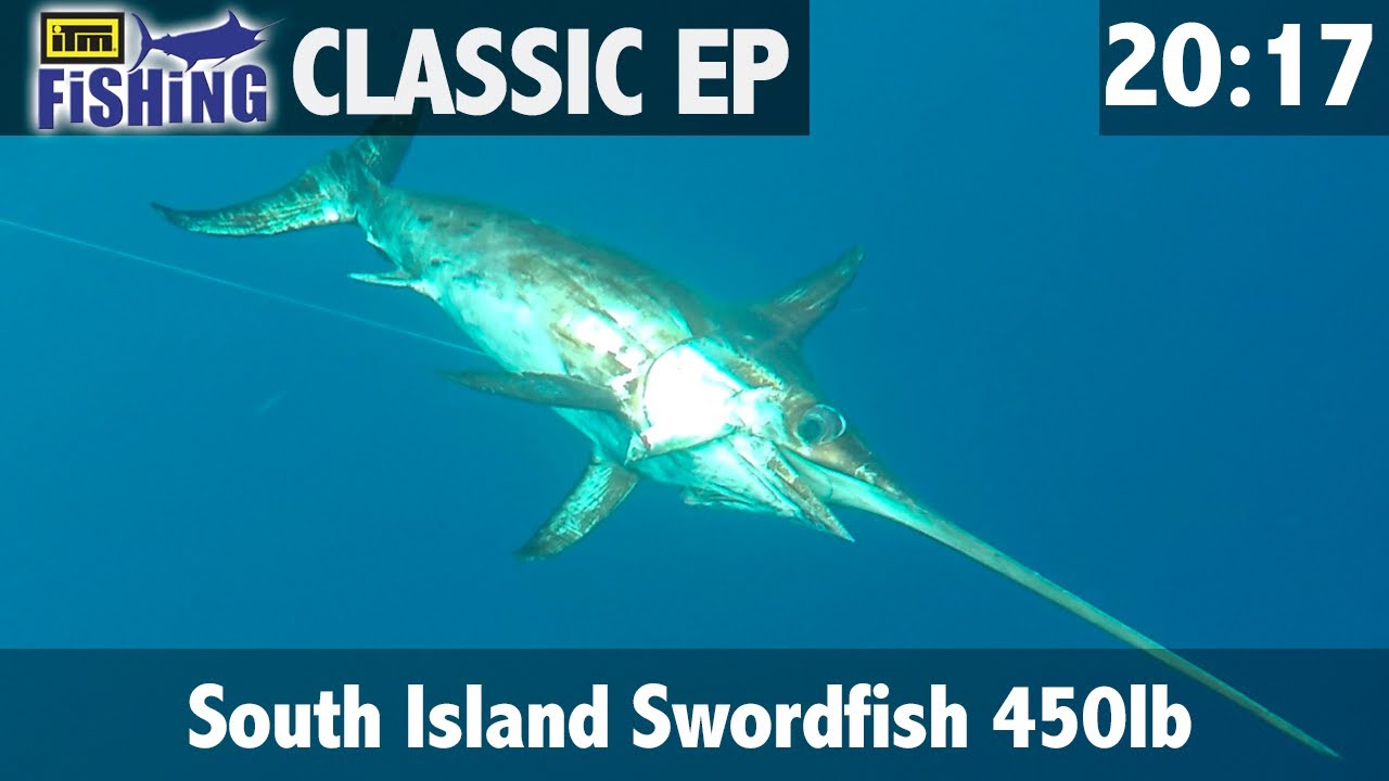 South Island Swordfish 450lb YouTube