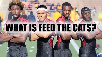 Introduction to Feed the Cats | Sprint Training