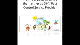 Common Pest Identification (Know Your Pests to Control Them.)