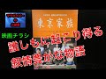 映画チラシ 東京家族 B5版 山田洋次 蒼井優 妻夫木聡【所有通算34枚目】【161本目の動画】