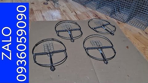 Cung cấp bẫy kẹp bắt chuột. Bẫy bán nguyệt bẫy chuột. Bẫy kẹp bắt sóc.Bẫy kẹp bắt cò. Bán bẫy chuột.