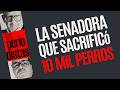 #Análisis ¬ Ex Alcaldesa de Tecámac y actual Senadora mandó a sacrificar 10 mil perros