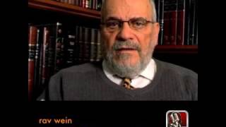 Rav berel wein: the prophet yonah