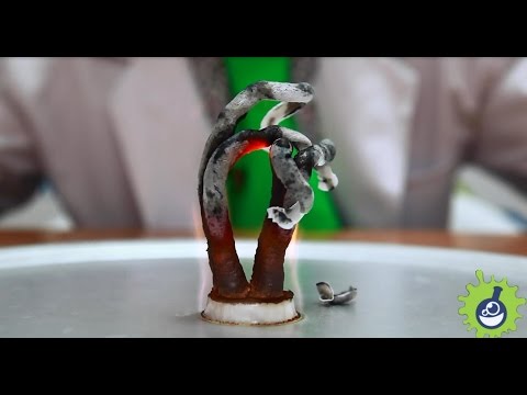 Эксперимент. Фараонова змея из глюконата кальция.