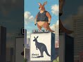 Kangaroos Can't Walk Backwards - Their Anatomy Won't Let Them!