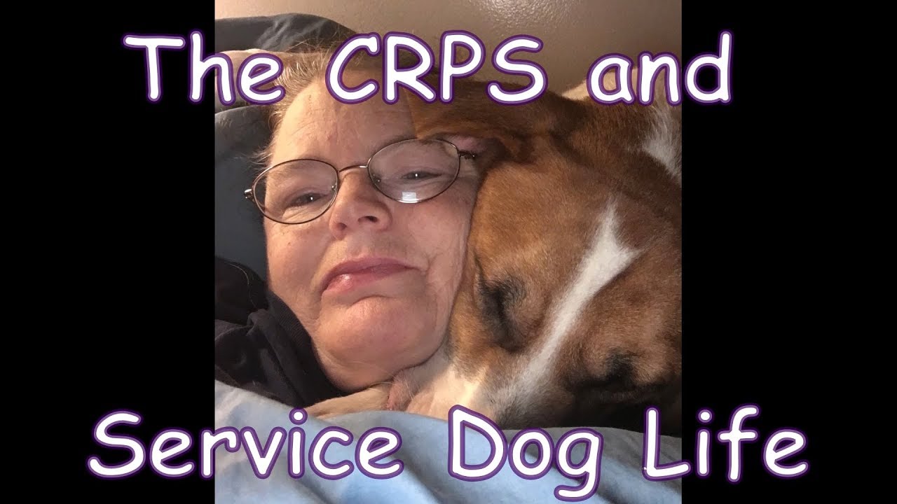 Welcome to The CRPS and Service Dog Life
