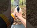 My 1911 Got Creepy 俺のガバメントヤバくね #asmr #airsoft #edit