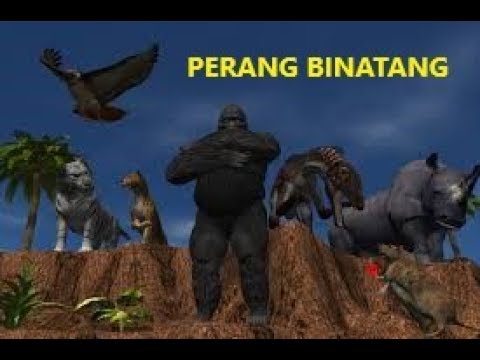  FILM  KARTUN  LUCU PERANG BINATANG LUCU YouTube